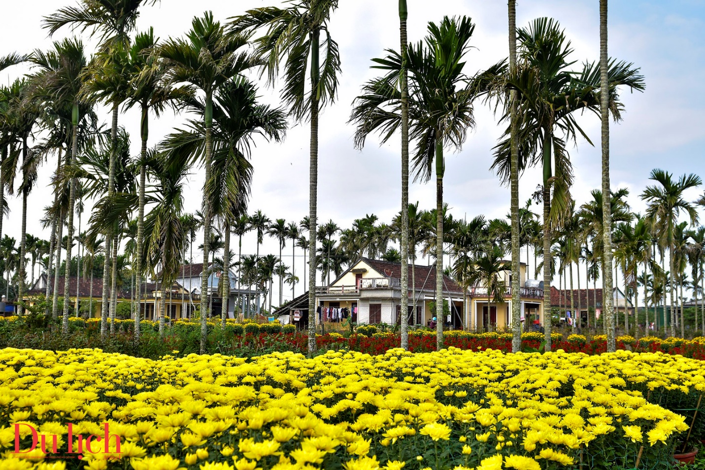 ve giang khat vong phat trien du lich gan voi lang nghe truyen thong - 8