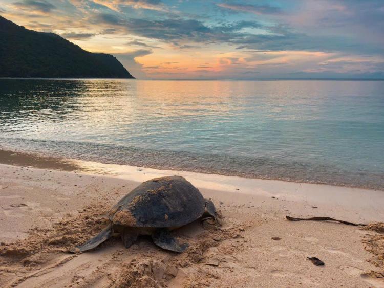 Côn Đảo – Đặc khu giữa biển khơi của TP.HCM