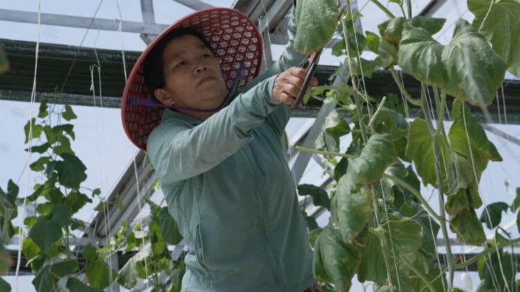 Huỳnh Lập bật khóc, Tiến Linh lặng người trước ước mơ giản dị của những em nhỏ trong “Mái ấm gia đình Việt” - 3