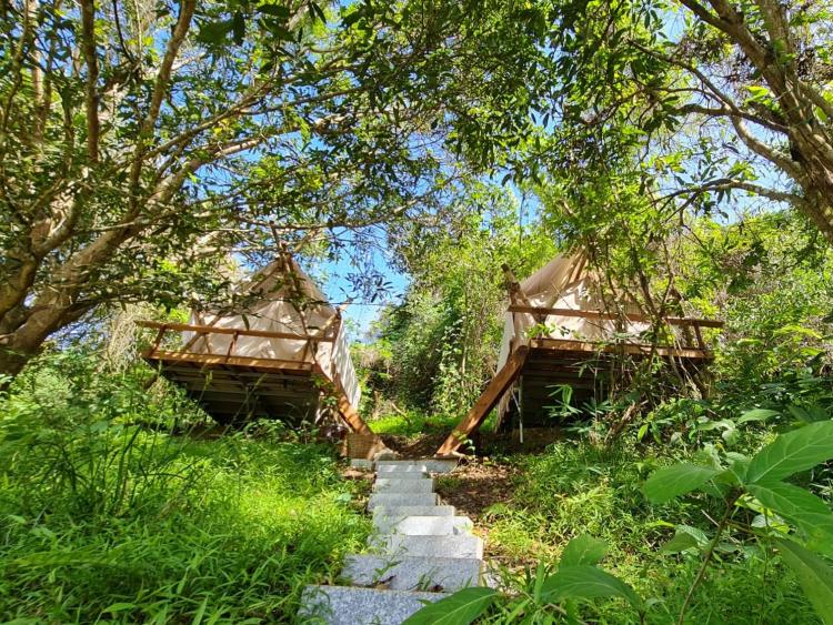 Du lịch Khánh Hòa – Xanh hóa để nâng cao năng lực cạnh tranh