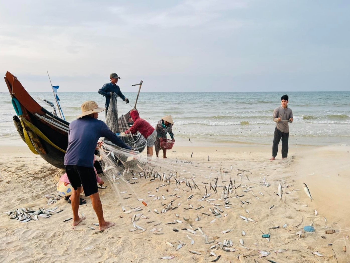 Dừng chân bên biển Đông Hải lắng nghe tiếng biển thì thầm bên tai - 7