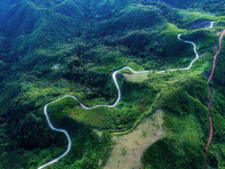 Thảo nguyên Bùi Hui thơ mộng hấp dẫn du khách ở Quảng Ngãi