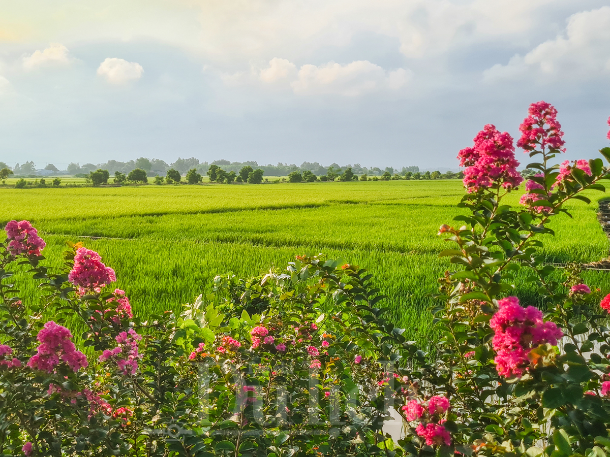 Từ huyền thoại Tiên nữ nương nương đến phường Bà Rịa trong lòng TP.HCM - 11