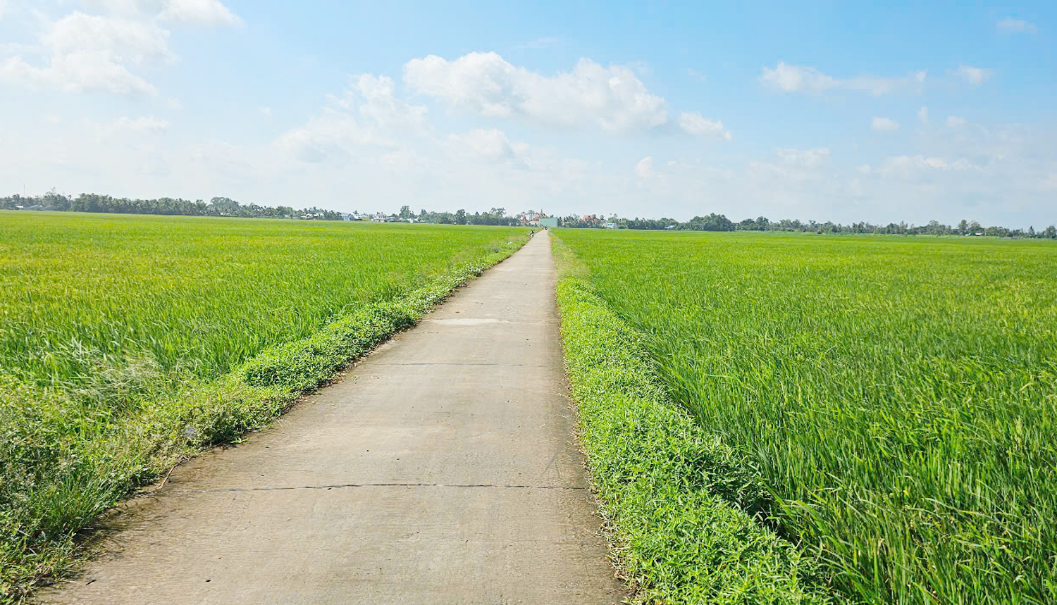 Thuế cơ sở ở Cần Thơ đẩy nhanh tiến độ giải quyết hồ sơ chuyển nhượng đất - 1
