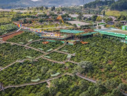 Mê Linh Coffee Garden thông tin vụ du khách phản ánh đồ uống bán giá cao tại quán
