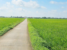  - Thuế cơ sở ở Cần Thơ đẩy nhanh tiến độ giải quyết hồ sơ chuyển nhượng đất