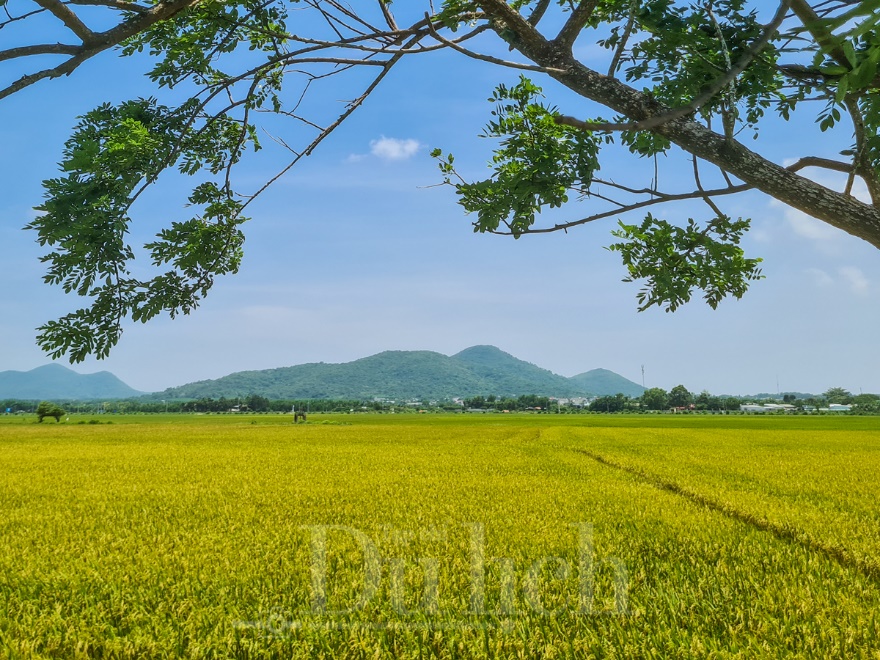 Từ huyền thoại Tiên nữ nương nương đến phường Bà Rịa trong lòng TP.HCM - 1