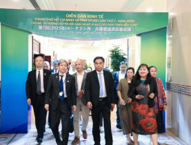  - TP.HCM và tỉnh Hyogo: Tăng tốc hợp tác xanh, số vì phát triển bền vững