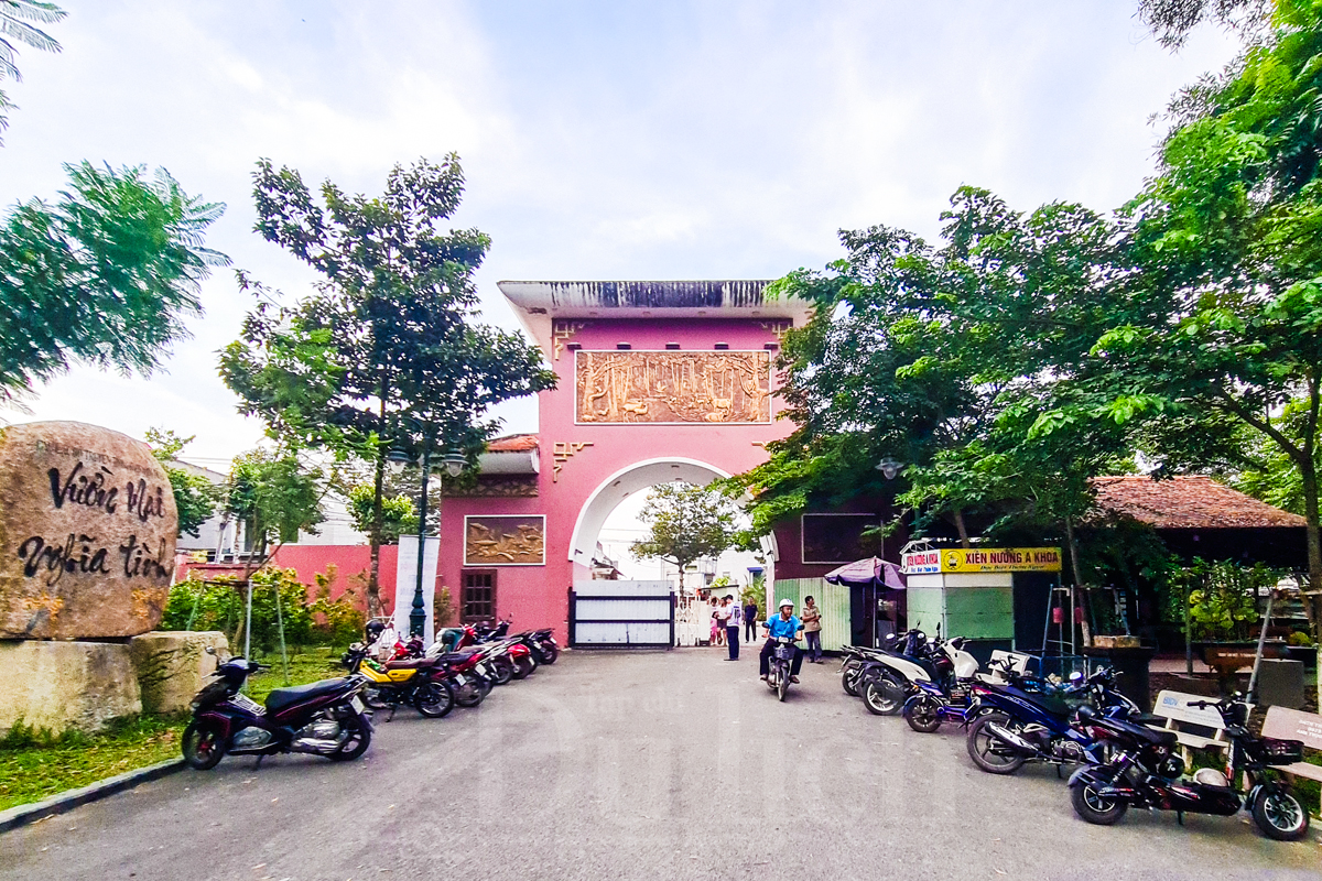 Hố Lang - ‘địa chỉ đỏ’ bị bỏ quên giữa lòng thành phố - 9