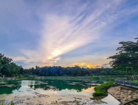  - Hố Lang - ‘địa chỉ đỏ’ bị bỏ quên giữa lòng thành phố