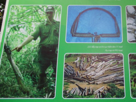 - Thành lập Khu Dự trữ thiên nhiên Phong Điền