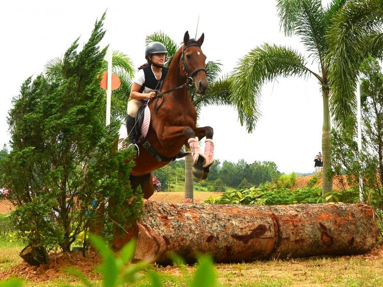 Du khách thích thú xem 20 con chiến mã tung vó vượt địa hình