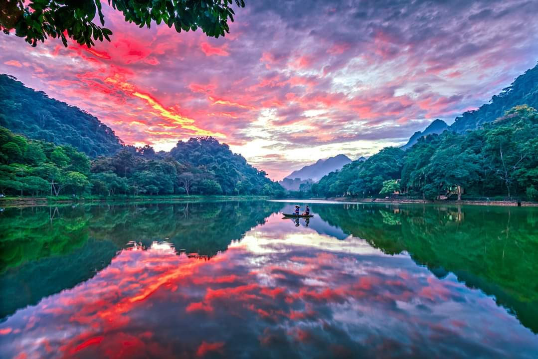 'Vũ hội đom đóm' ở Cúc Phương năm nay xảy ra hiện tượng hiếm có - 7