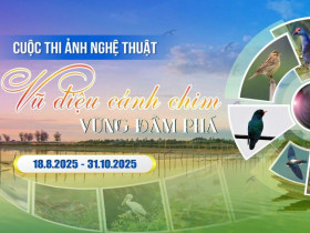  - Thú vị cuộc thi ảnh ‘Vũ điệu cánh chim vùng đầm phá’
