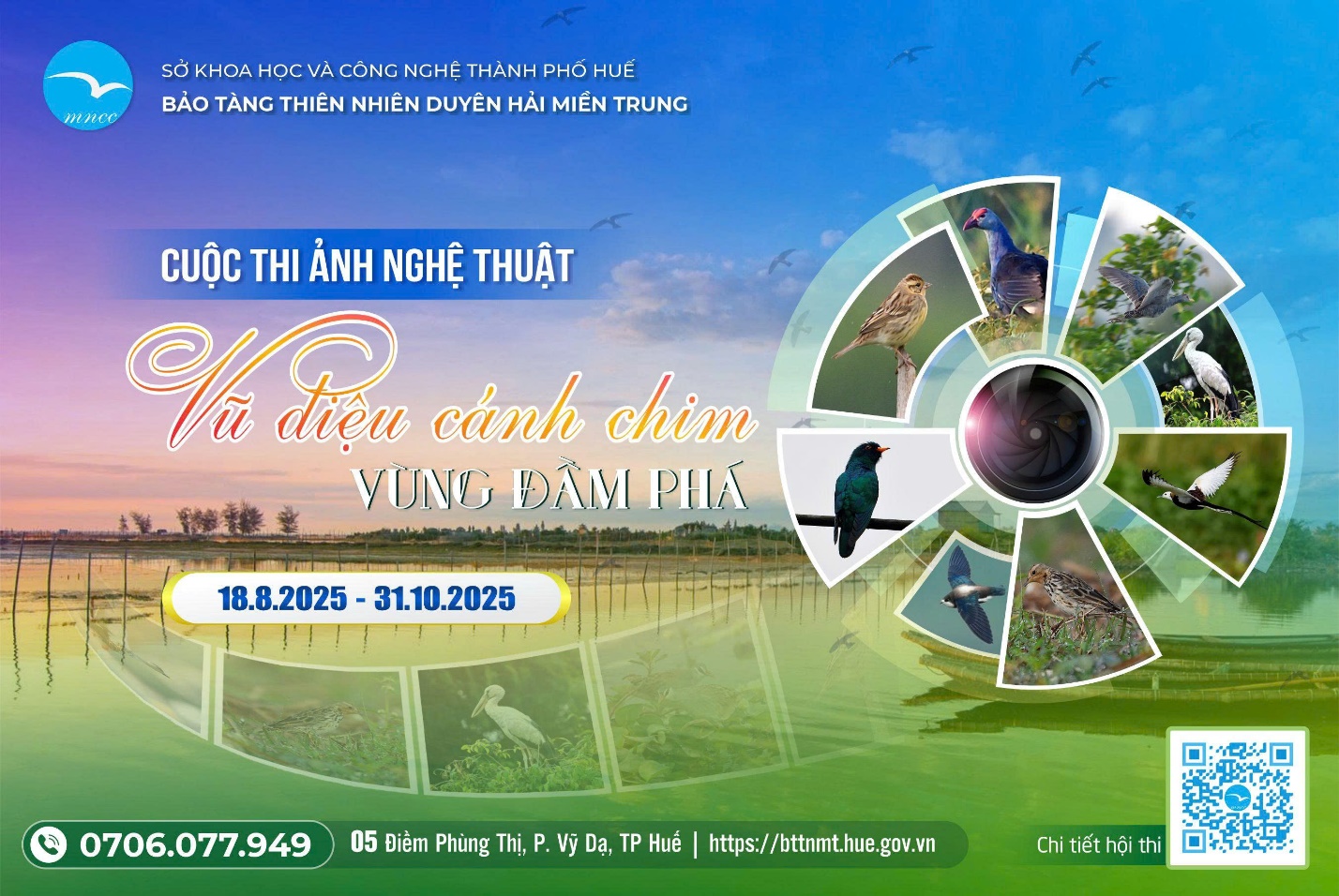 Thú vị cuộc thi ảnh ‘Vũ điệu cánh chim vùng đầm phá’ - 1