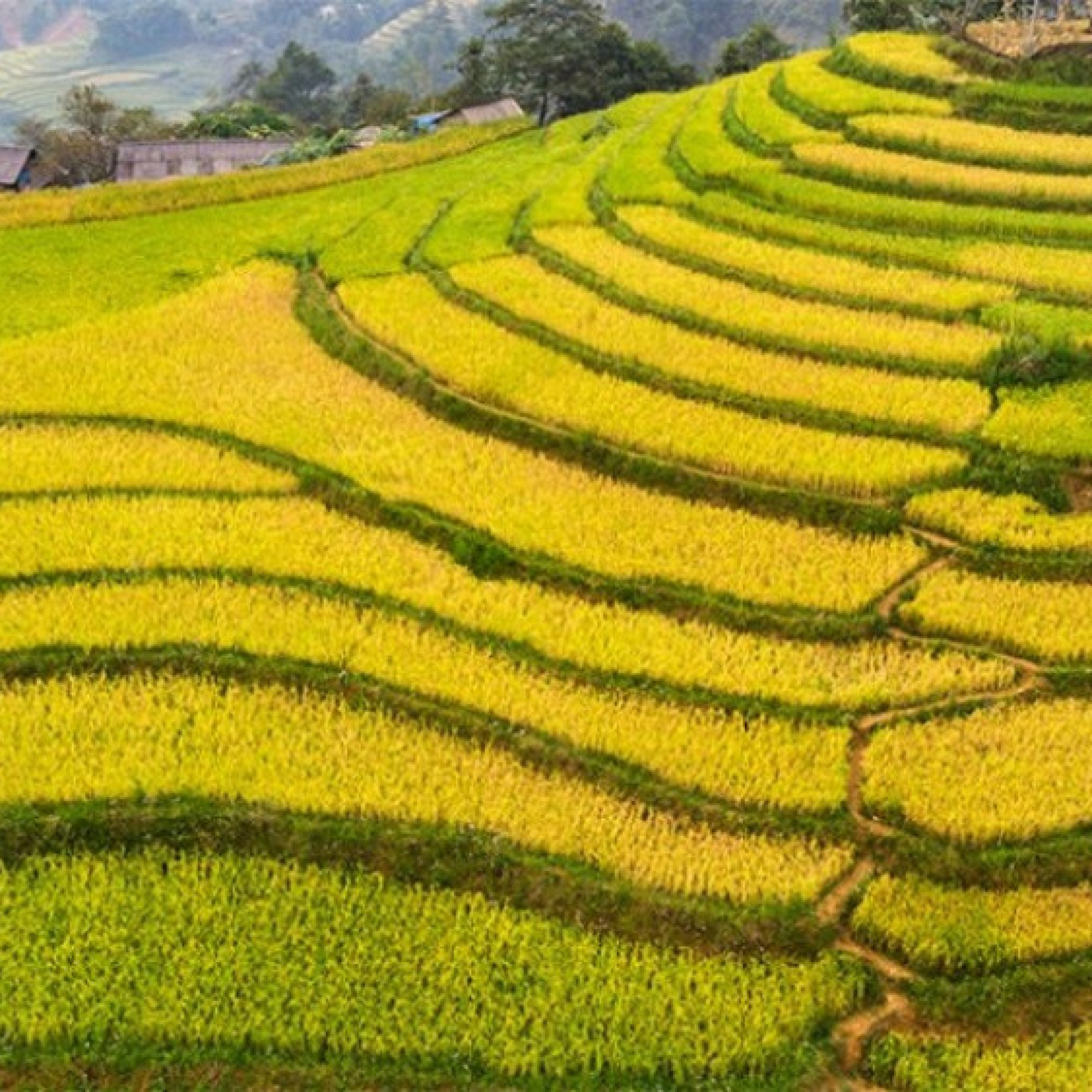  - Cẩm nang du lịch: Hà Nội rợp cờ hoa kết hợp Sa Pa lúa vàng 2/9
