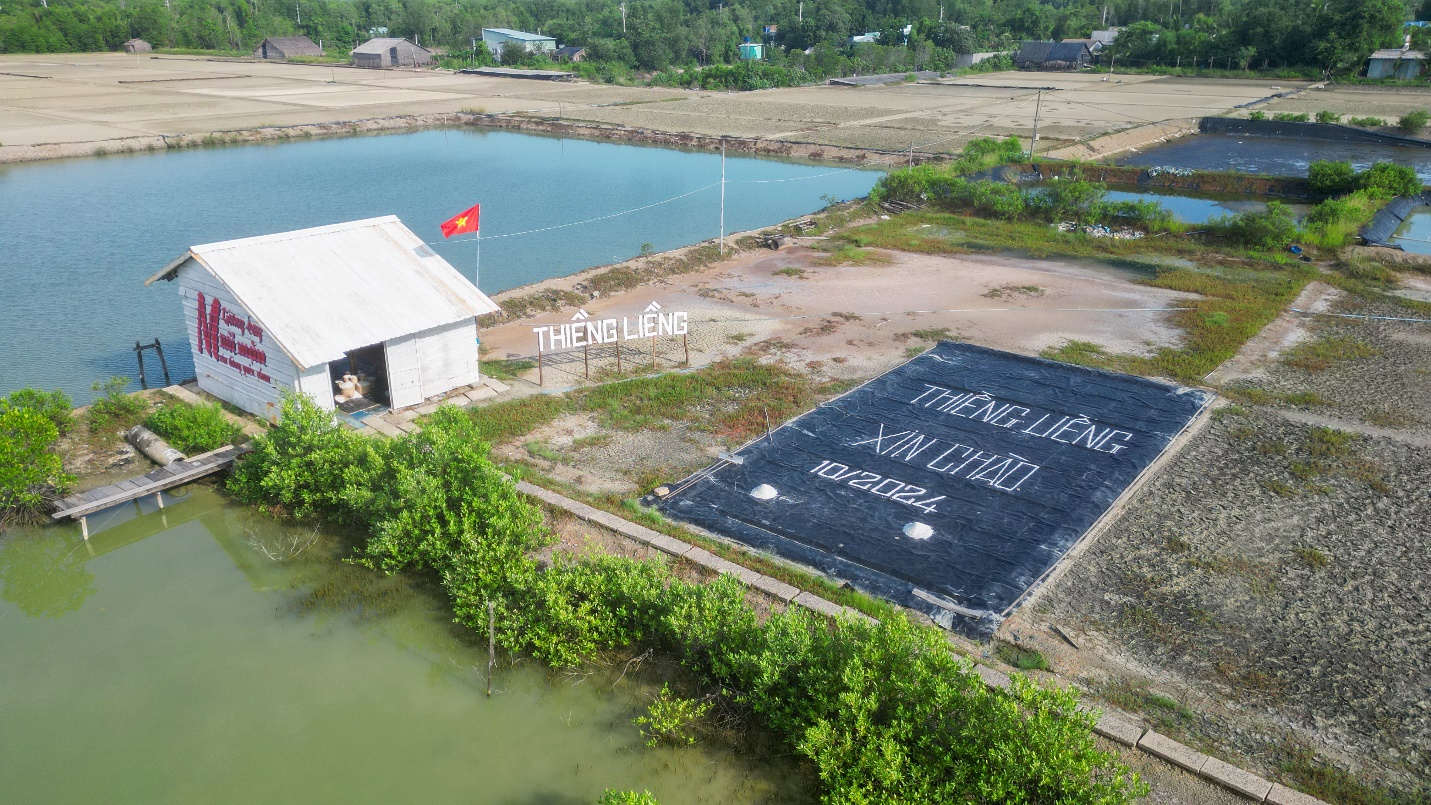 Dấu ấn Đảng bộ TP.HCM nhiệm kỳ 2020-2025: Vực dậy và kiến tạo bản sắc mới cho du lịch - 6