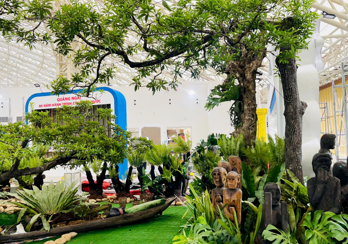quang ngai quang ba ‘vi bien, hon rung’ tai ha noi - 2