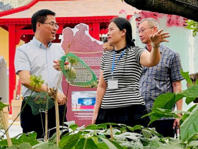  - Quảng Ngãi quảng bá ‘vị biển, hồn rừng’ tại Hà Nội