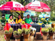 Nữ bí thư xã livestream bán sầu riêng giúp nông dân
