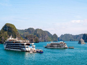  - Quảng Ninh tổ chức tập huấn ứng dụng AI trong hoạt động du lịch