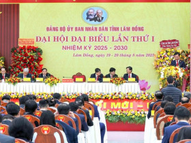  - Nhiều lãnh đạo cấp sở ở Lâm Đồng xin nghỉ hưu, thôi việc