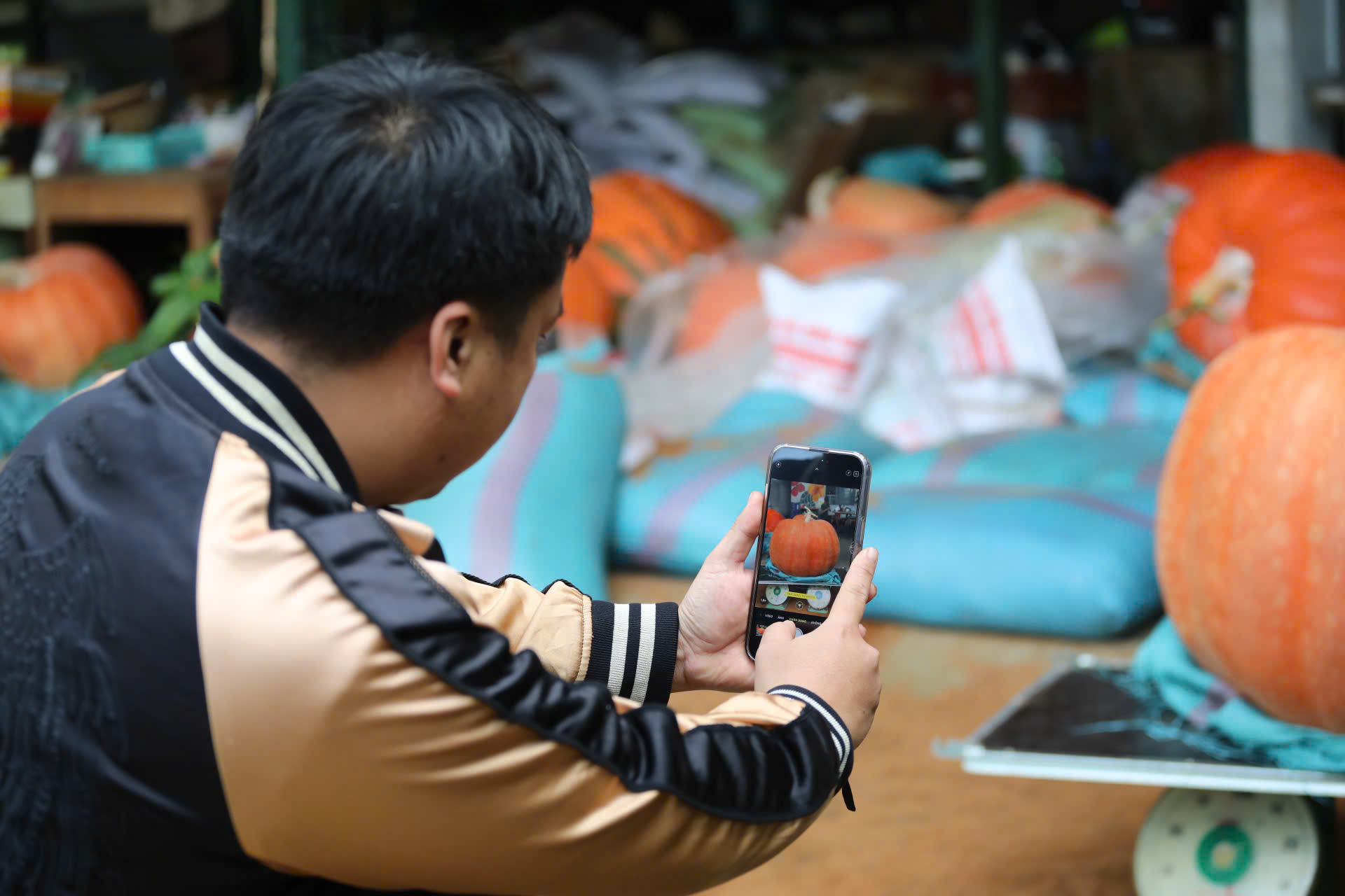 Du khách thích thú check-in bên quả bí ngô khổng lồ ở Đà Lạt - 10