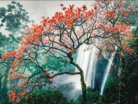  - ‘Viên ngọc xanh’ Kon Chư Răng giữa đại ngàn Trường Sơn