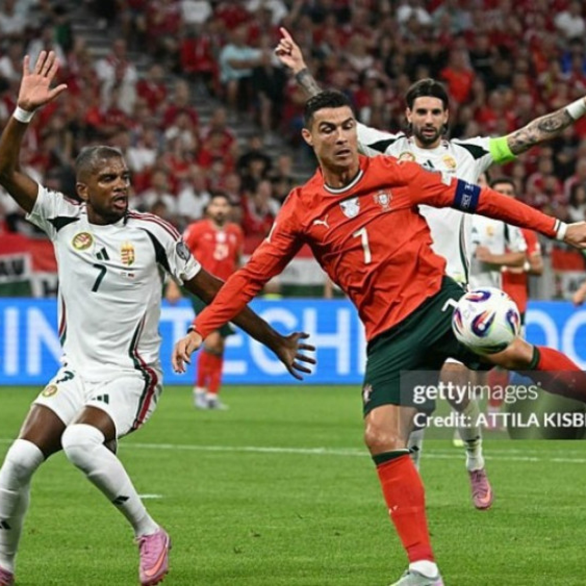  - Trực tiếp bóng đá Hungary - Bồ Đào Nha: Suýt có bàn thứ 4 (Vòng loại World Cup) (Hết giờ)