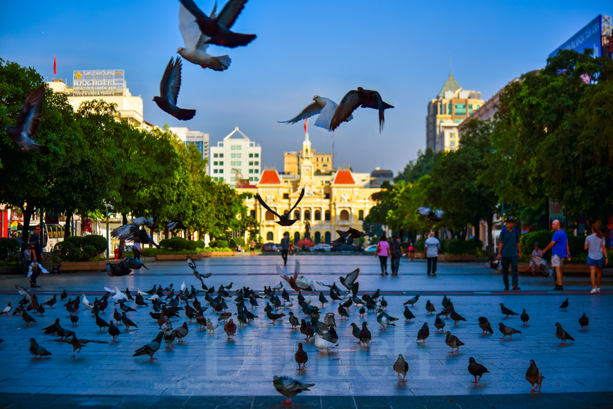TP.HCM khẳng định vai trò tiên phong cùng sáng kiến ‘Green Horizon’ - 2