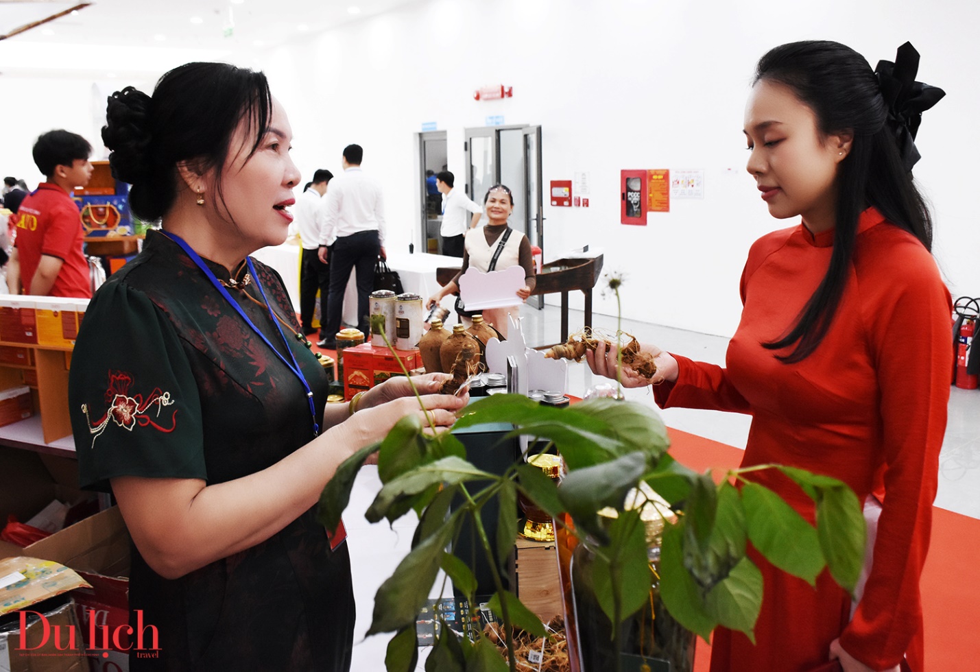 sam ngoc linh hut khach tai khong gian trung bay san pham ocop tinh quang ngai - 13