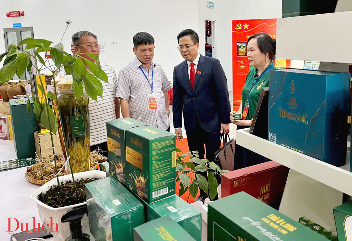 sam ngoc linh hut khach tai khong gian trung bay san pham ocop tinh quang ngai - 10