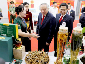  - Sâm Ngọc Linh hút khách tại không gian trưng bày sản phẩm OCOP tỉnh Quảng Ngãi