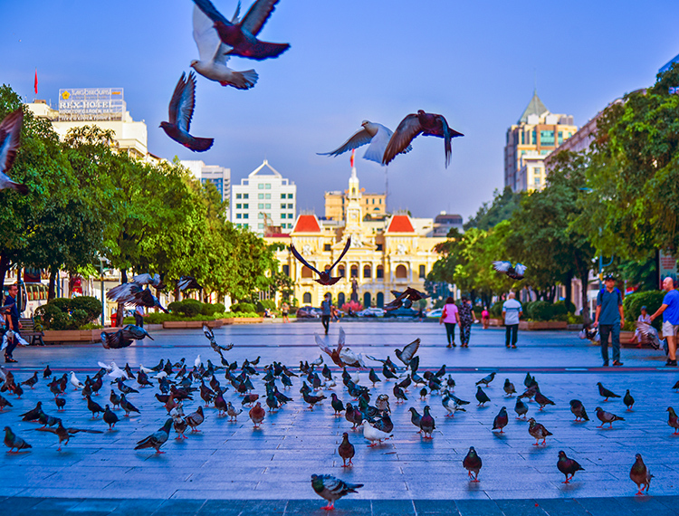 Từ hợp nhất đến bứt phá: TP.HCM xây dựng chiến lược ‘siêu đô thị dịch vụ quốc tế’