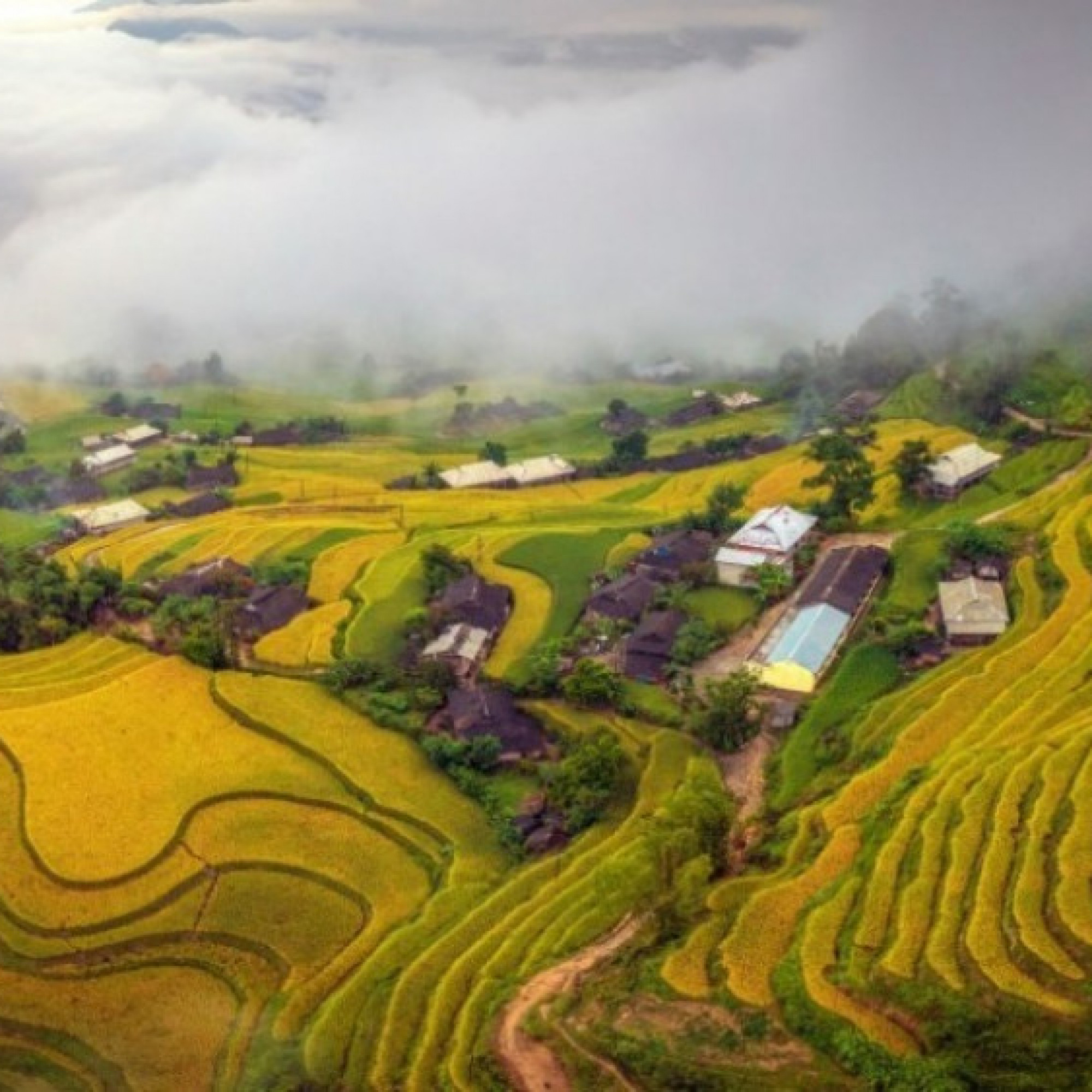  - Đến Hoàng Su Phì, chiêm ngưỡng mùa vàng đẹp nhất Việt Nam