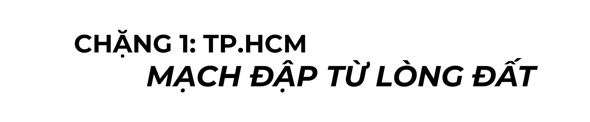 vi vu tp.hcm moi: khi tam nhin chien luoc bien thanh trai nghiem ngot ngao - 6