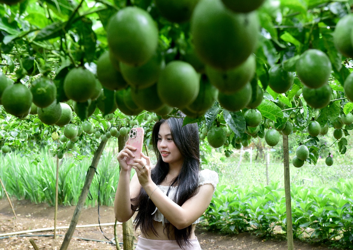 xay dung mang den thanh trung tam nghi duong thien nhien doc dao cua viet nam - 10