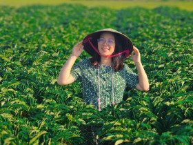  - Huế nắm bắt lợi thế, phát triển du lịch nông nghiệp