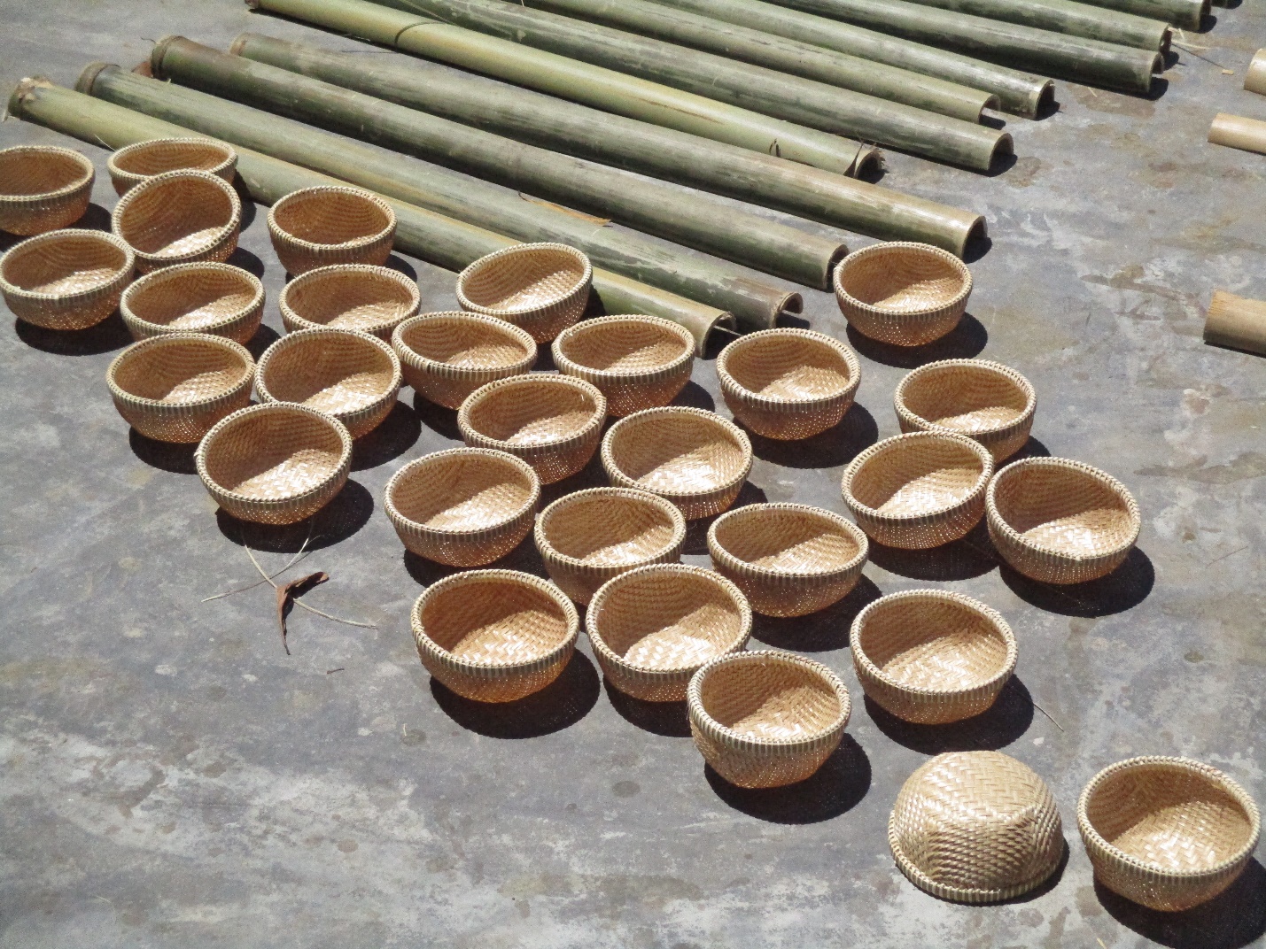 Huế nắm bắt lợi thế, phát triển du lịch nông nghiệp - 5