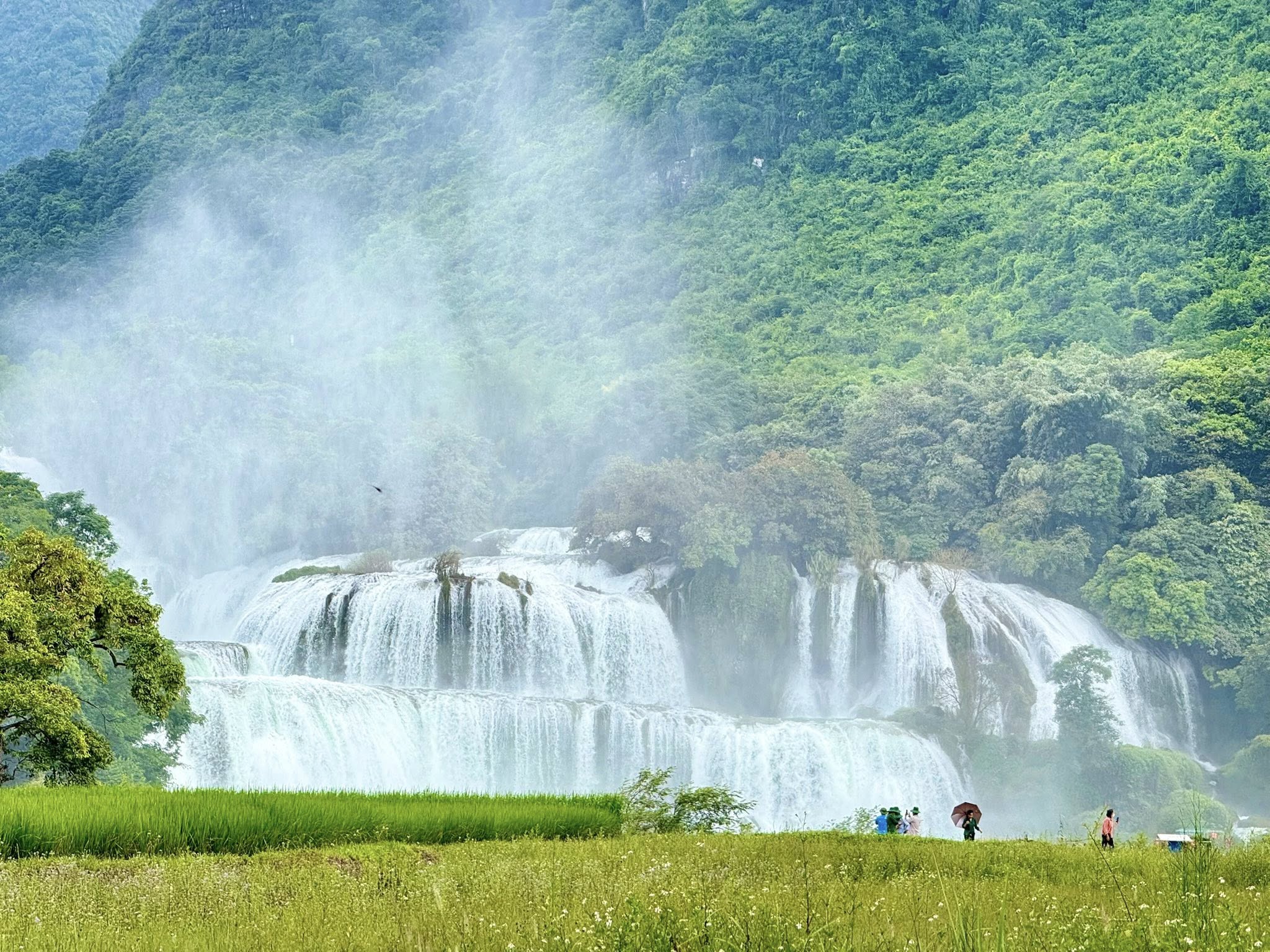 Thác Bản Giốc vào mùa đẹp nhất trong năm - 2
