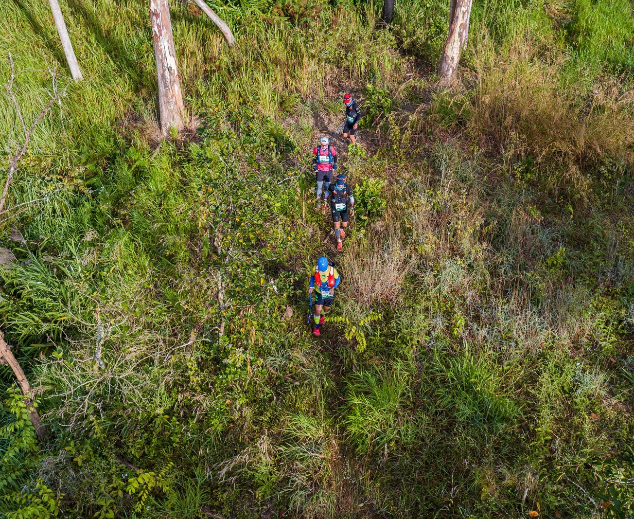 Chinh phục cung đường di sản tại Giải chạy Prenn Trail Summit 2025 - 1