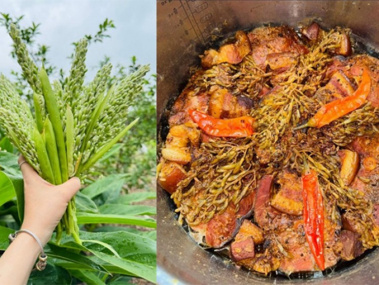 Loại hoa ít người biết đến, kho với cá vừa thơm vừa