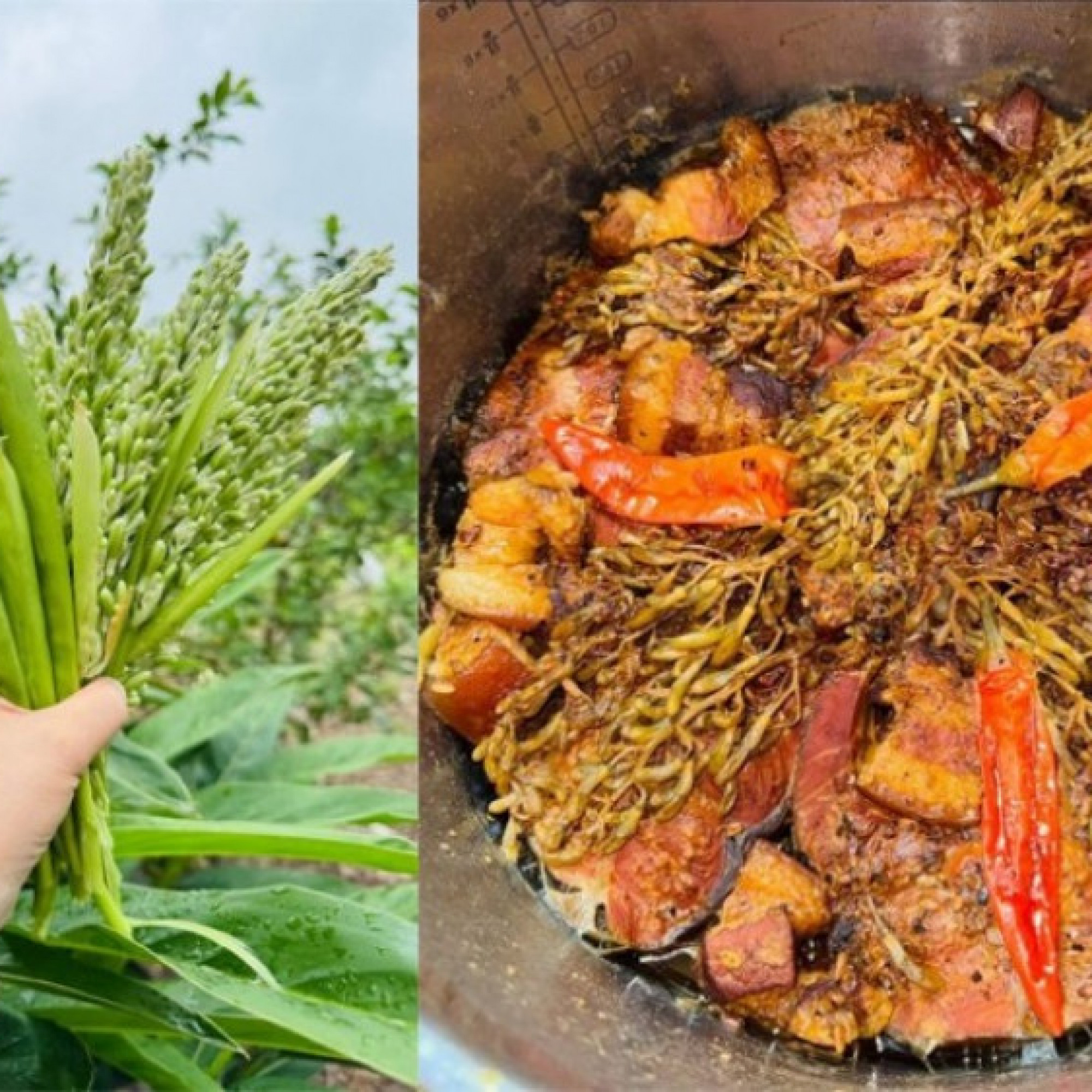  - Loại hoa ít người biết đến, kho với cá vừa thơm vừa "tốn cơm"