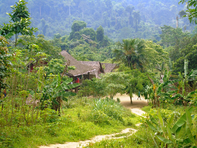 vuon quoc gia phong nha - ke bang bao ton va phat huy gia tri di san de phat trien du lich - 3