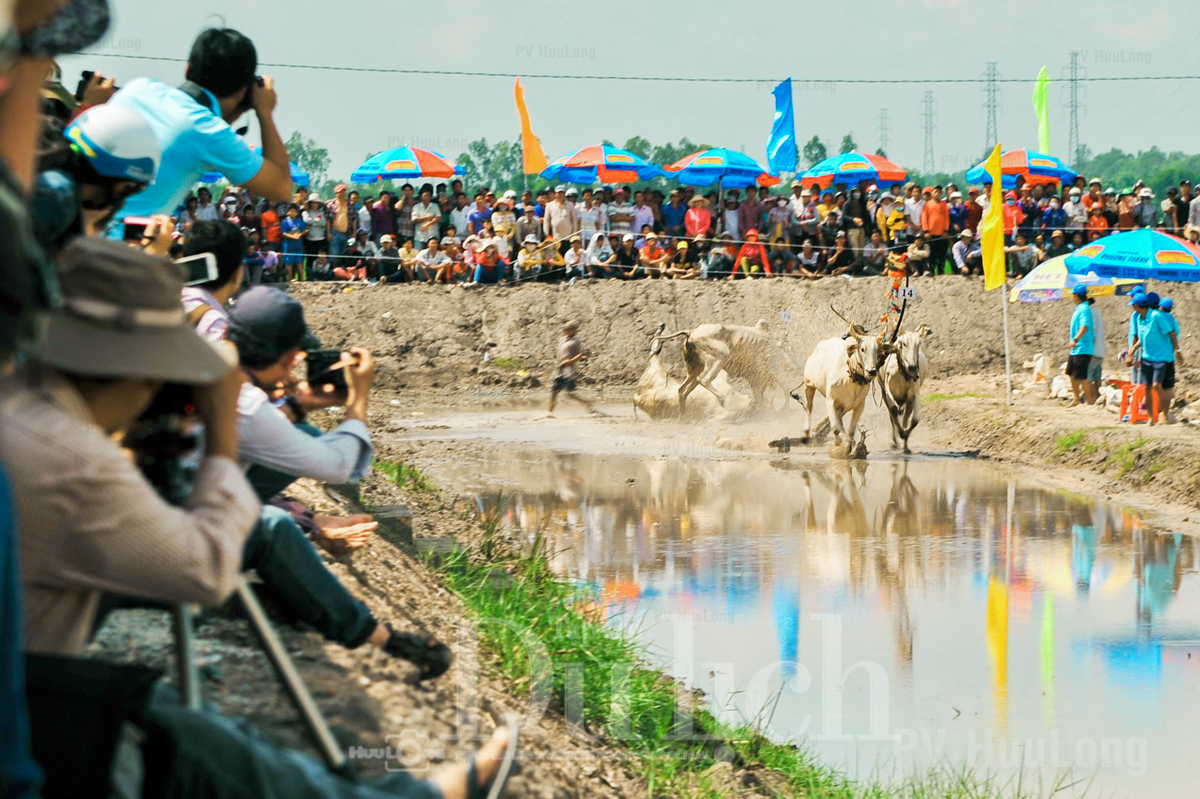 Rộn ràng lễ hội đua bò tưng bừng đón tết Sen Dolta vào mùa - 10