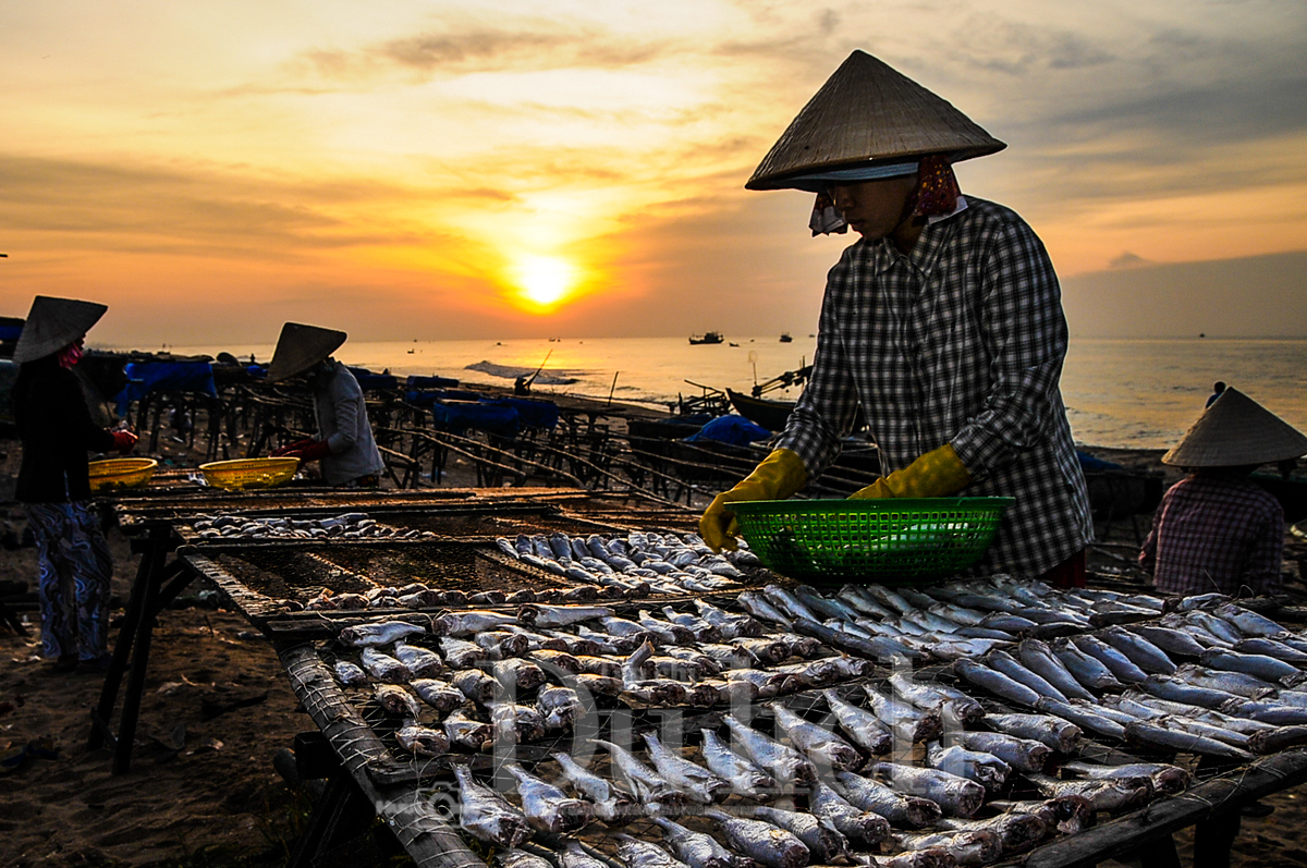 Bến cá lao xao ngôi chợ quê miền dân dã - 14