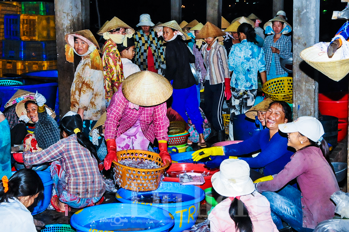 Bến cá lao xao ngôi chợ quê miền dân dã - 3