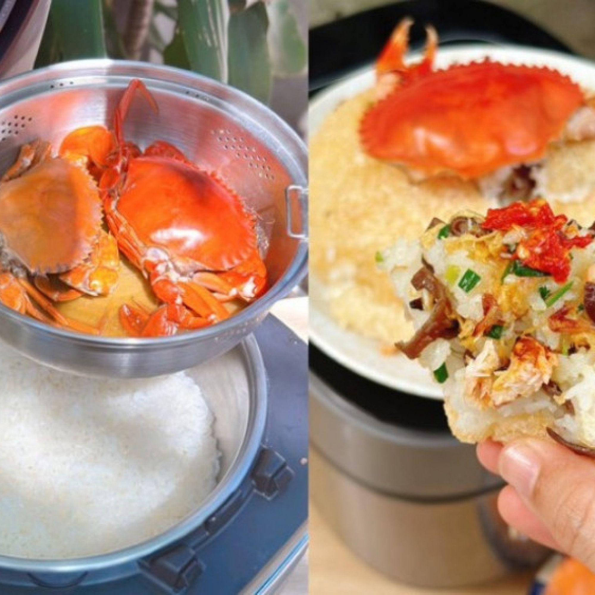  - Món xôi cua sang chảnh siêu hot không ngờ tự làm dễ đến vậy