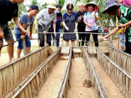 Phát triển sản phẩm OCOP: Viết nên câu chuyện mới về du lịch Việt Nam