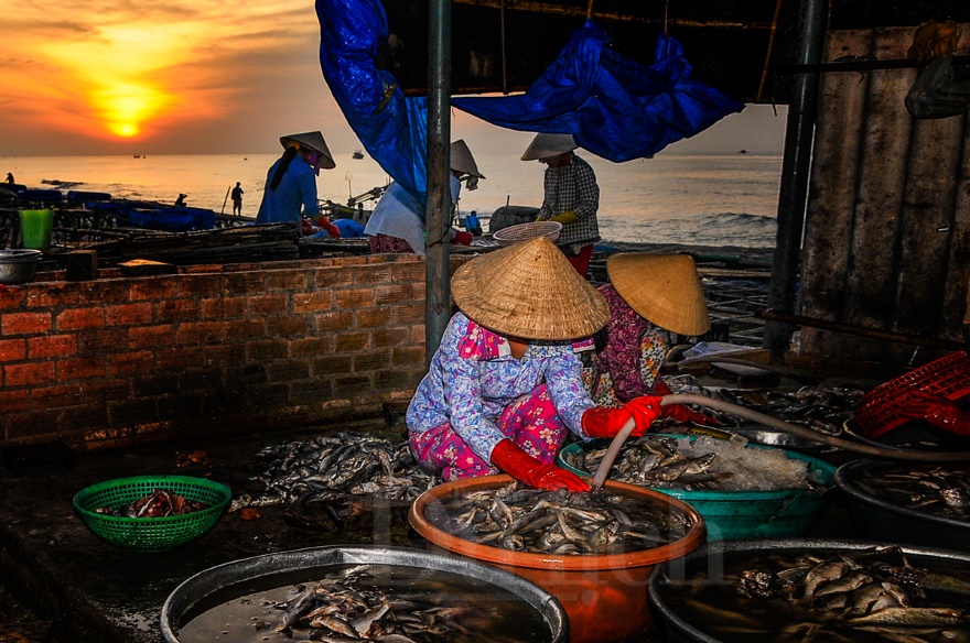 Bến cá lao xao ngôi chợ quê miền dân dã - 15